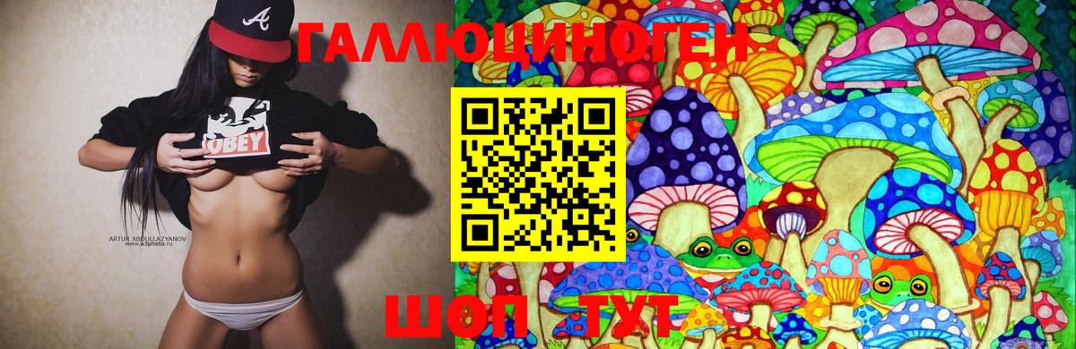 Псилоцибиновые грибы Psilocybe  Вход с VPN  Усолье-Сибирское 